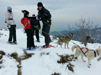 Tour Schneeschuhwandern Le Valtin - raquettes  - Photo
