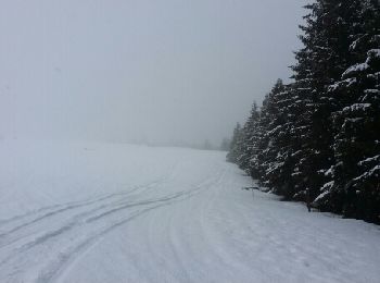 Tocht Sneeuwschoenen Chastreix - randonnée raquette 03 - Photo