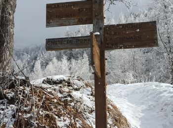 Percorso Racchette da neve Peisey-Nancroix - CRAB - MARDI 01 MARS - AM - Photo