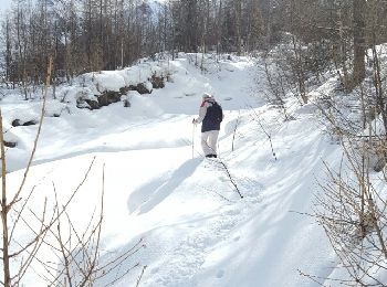 Tour Schneeschuhwandern Peisey-Nancroix - CRAB - MERCREDI 02 MARS – AM  - Photo