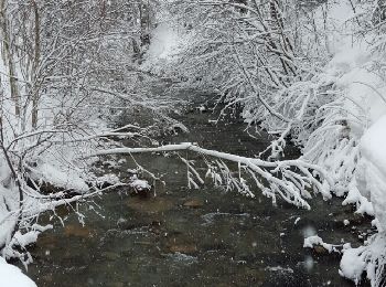 Tour Schneeschuhwandern Peisey-Nancroix - CRAB - JEUDI 03 MARS - AM - Photo