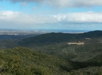 Tour Wandern Bouleternère - Bouleternère - Photo