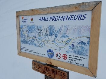 Randonnée Raquettes à neige Peisey-Nancroix - CRAB - DIMANCHE 06 MARS 2016 - AM - Photo