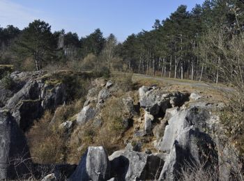 Tocht Stappen Couvin - Randonnée géologique - Photo