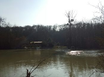 Randonnée Marche Meaux - Meaux - Photo