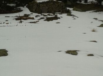 Tocht Sneeuwschoenen La Llagonne - Rte Bouillouse Pasquers Reials - Photo