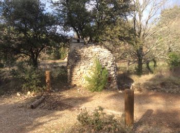 Percorso Marcia Peyrolles-en-Provence - PF-Peyrolles-Sentier du Loubatas - Photo