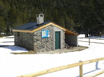 Randonnée Raquettes à neige Formiguères - De Formiguere au refuge de la Lladura - Photo