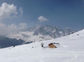 Tocht Sneeuwschoenen La Giettaz - La Giettaz-chalet Balmaz - Photo