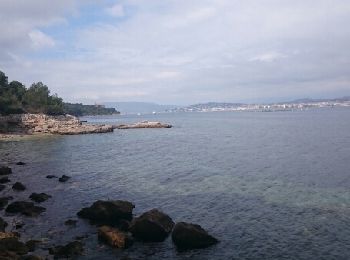 Tocht Stappen Cannes - Île Sainte Marguerite - Photo