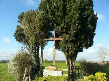 Tour Wandern Chemillé-en-Anjou - la jumelliere   - Photo