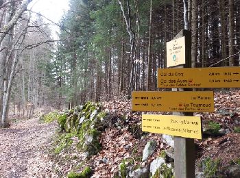 Trail Walking Bernin - Chemin du facteur - Col du Baure - Manival - Photo