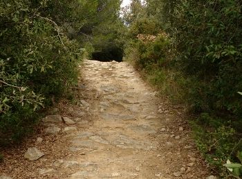 Trail Walking Aigues-Vives - croix de St Félix boucle pech de agel - Photo