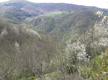 Tour Wandern Saint-Étienne-de-Serre - Sablas Magerouan Mauves le pont du Moulin - Photo