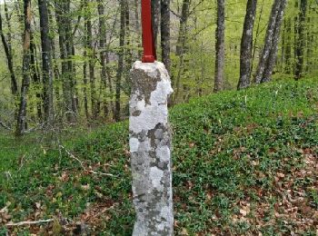 Tocht Stappen Nages - Randonnée Villelongue-La  Salvetat - Photo