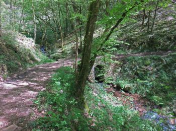 Trail Walking Estivaux - Estivaux- Sentier nature - Photo