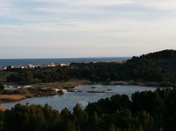 Excursión Bici de montaña Gruissan - Gruissan - St Pierre Mer - Gruissan - Photo