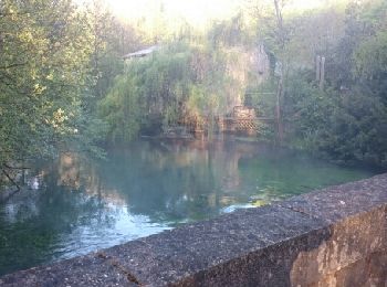 Tour Laufen Anché - Les marchés du clain - Photo