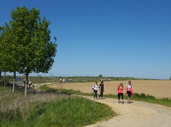 Trail Walking Villeroy - Villeroy - Photo