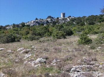 Trail Walking Cazevieille - le tour du pic st loup - Photo