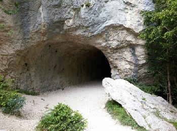 Trail Walking Rougon - Sentier Martel.Gorges du Verdon.06 05 16 - Photo