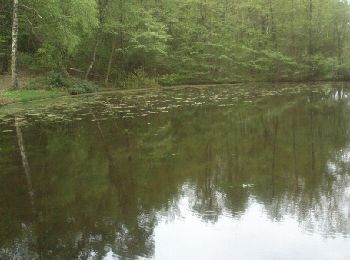 Randonnée Marche Andelaroche - Les Andais - Photo