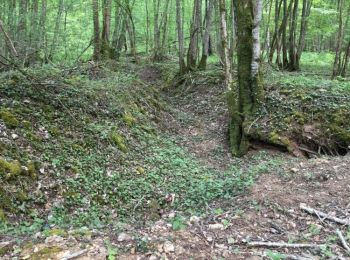 Trail Walking Apremont-la-Forêt - Marbotte - Photo