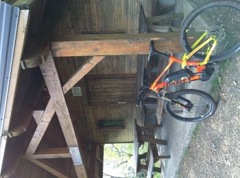 Trail Mountain bike Steinbach - Camp Turenne - Photo