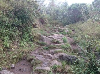 Trail Walking La Possession - La Réunion - Marla - retour par le col des boeufs - Photo