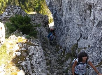 Trail Walking Montaud - bec deLorient - Photo