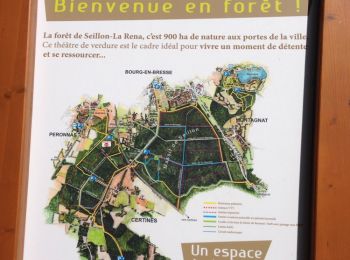 Tour Wandern Péronnas - Balade en Foret de Seillon - Photo