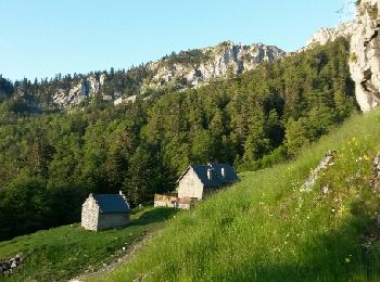 Trail Walking Boutx - col de Mente-Larreix-Cagire-Escalette-retour - Photo