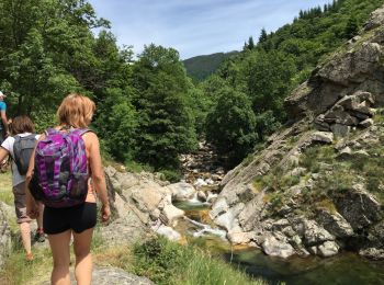 Trail Walking Laviolle - laviolle les roches Aubert - Photo