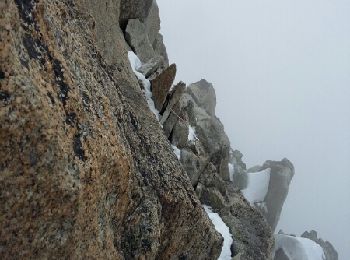 Excursión Otra actividad Chamonix-Mont-Blanc - arête des cosmique - Photo