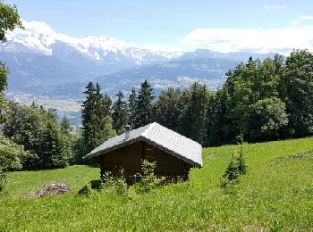 Trail Walking Sallanches - refuge mayeres - Photo