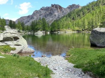 Tour Wandern Tende - Casterino - Fontanalba - 2016 06 20 - Photo