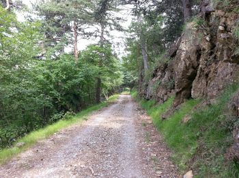 Randonnée Marche Breil-sur-Roya - Breil-sur-Roya - du col de Brouis à la cime du Bosc AR - 6.2km 245m 1h40 - 2016 06 29 - Photo