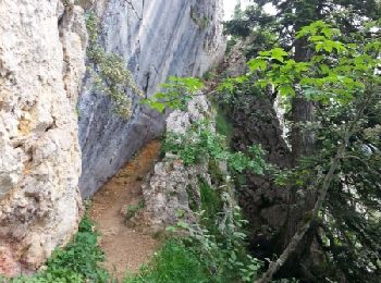 Tour Wandern Saint-Christophe-sur-Guiers - Le petit Som par La Ruchere - retour par le pas du Loup - Photo
