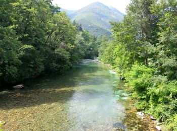 Tocht Stappen Breil-sur-Roya - Breil-sur-Roya - Sentier Valéen Nord - 2016 06 26 - Photo