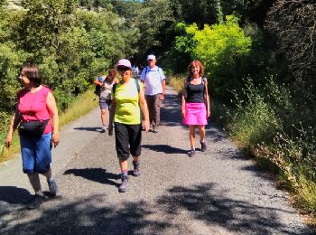 Trail Walking Bollène - Barry par St Restitut 19-07-2016 - Photo
