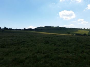 Tour Wandern Le Bessat - boucle de la Jasserie - Photo