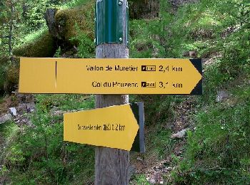Randonnée Marche nordique Les Orres - Le Vallon de Muretier  - Photo