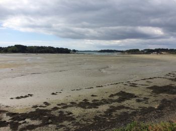 Randonnée Marche Sarzeau - autour de Brillac - Photo