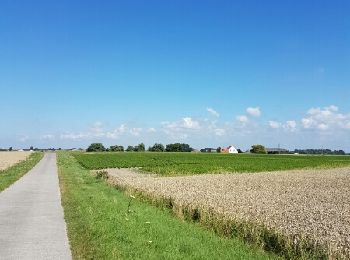 Tour Wandern Ostende - Rond Stene  - Photo