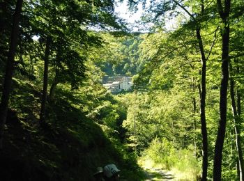 Randonnée Marche Rousses - Lozère Rousse gorges du Tapoul - Photo