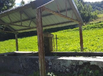 Randonnée Marche Septmoncel les Molunes - sentier des lapidaires - Photo