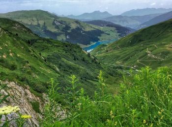 Tour Wandern Aime-la-Plagne - Du refuge de la Coire au refuge du Plan de la Lai - Photo