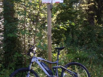 Tour Mountainbike Prémanon - Ballade entre les Arcets prémanon le risoux  bois d'amont et retour.  - Photo