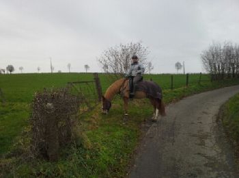 Randonnée Cheval Thimister-Clermont - val dieu froidthier aubel  - Photo