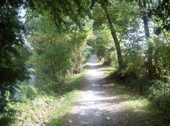 Tour Wandern Houplin-Ancoisne - Canal de seclin 28-08-16 - Photo